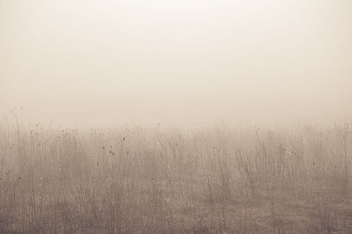Stilleven in de mist van Ellen Metz