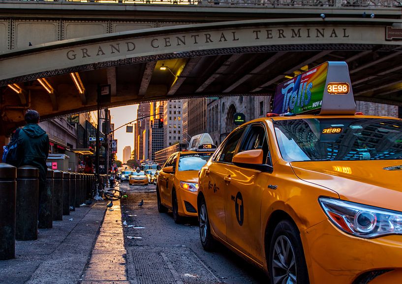 Grand Central Terminal, New York von Thomas Bartelds