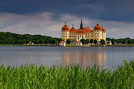 Moritzburg Castle