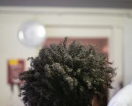 Hairstyle by Wouter Bos