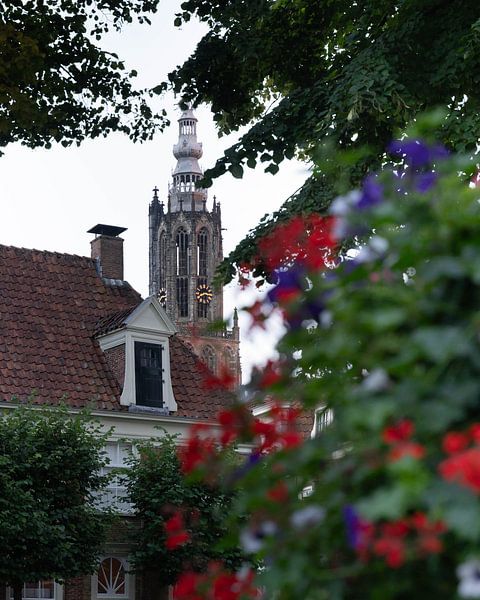 Amersfoort van Gerard Glavimans