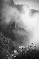 Fleurs et montagnes dans les nuages - Madère