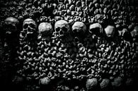 Doodshoofd Catacomben van Parijs van Melvin Erné thumbnail