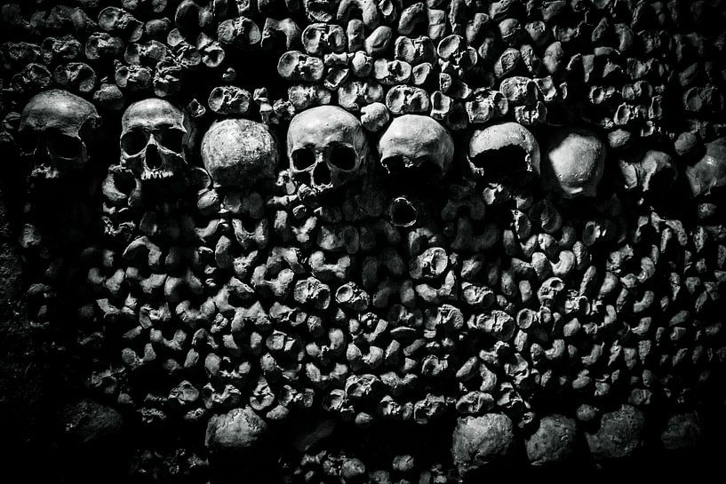 Doodshoofd Catacomben van Parijs van Melvin Erné