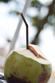 Kokosnuss von Namurr_ PhotoArts