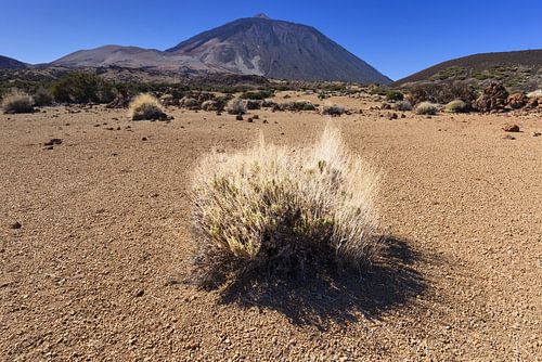 Pico del Teide