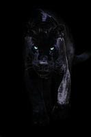 Zwarte Jaguar