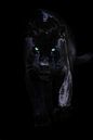 Zwarte Jaguar van Design Wall Arts thumbnail