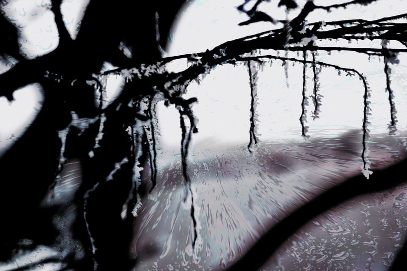 Concept frozen : Frozen van Photoart-Naegele