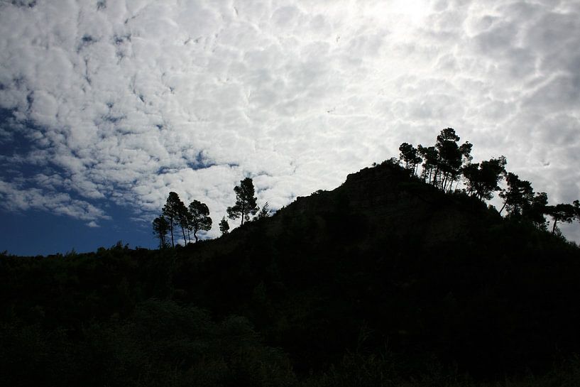 Schapenwolken van Floortje Mink