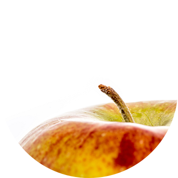 Een close-up van een appel met steeltje tegen een witte achtergrond van Hein Fleuren