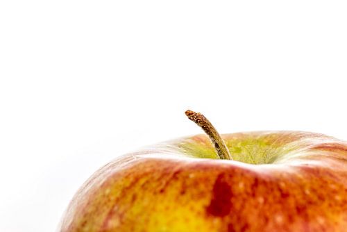 A close-up of an apple with stalk against a white background
