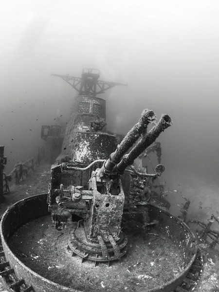 shipwreck by thomas van puymbroeck