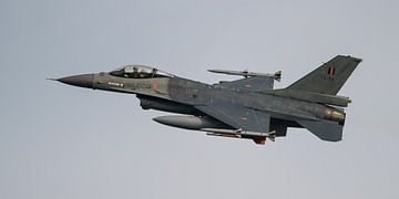 Frisian Flag 2017 (FA-124)