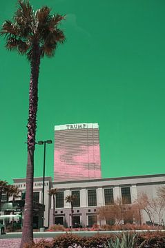 Las Vegas paradise by Hozho Naasha