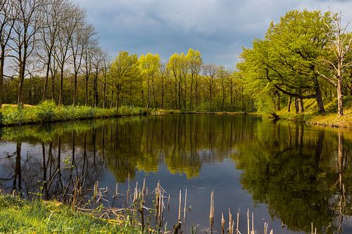 Weerspiegeling