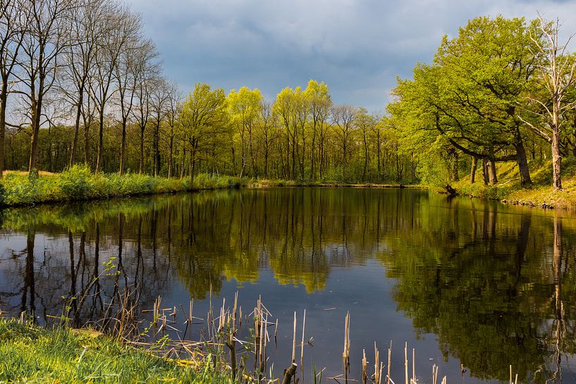 Weerspiegeling von Jellie van Althuis