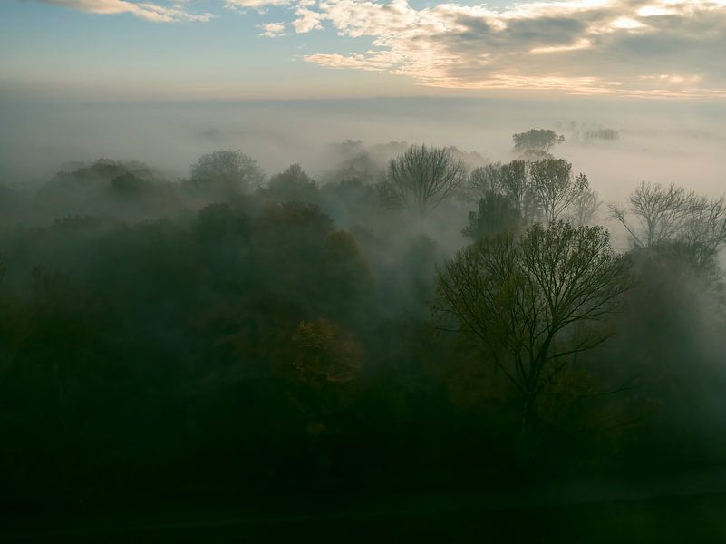 Misty forest overhead aerial view during autumn by Sjoerd van der Wal Photography