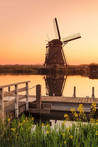 Windmill at sunrise, Kinderdijk, Netherlands by Markus Lange
