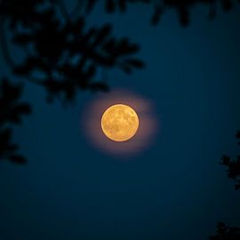 Full moon (square) by Colin van der Bel