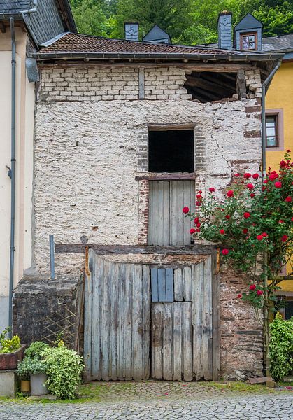 Gartenposter einer alten Scheune mit Rosen von Danny den Breejen