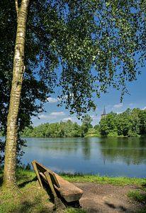 aan het Borner Meer in het natuurgebied Tantelbruch, Brüggen, Nederrijn