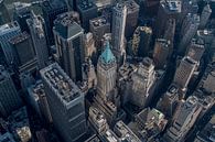 Downtown Manhattan, NYC van Thomas Bartelds thumbnail