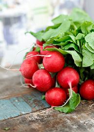 Radishes on a board by Eric van der Gijp