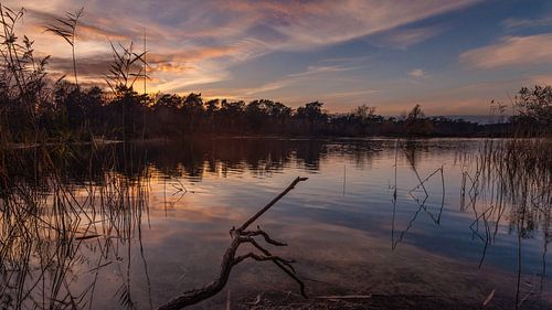 Surea, Boswachterij Dorst