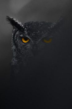 Afrikanischer Uhu künstlerisch