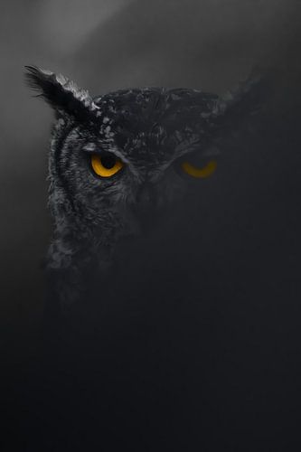 African eagle owl artistic by Bouke Willems