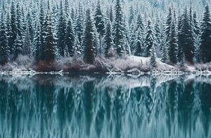 Winterzauber am See