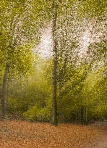 Renkums Beekdal part 2