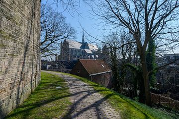 De Burcht en Hooglandse kerk in Leiden van Peter Bartelings