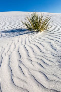 Golftekening van de duinen, White Sands National Monument van Melanie Viola