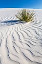 Golftekening van de duinen, White Sands National Monument van Melanie Viola thumbnail