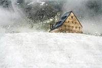 house on the hill