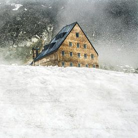 house on the hill van anouk smit