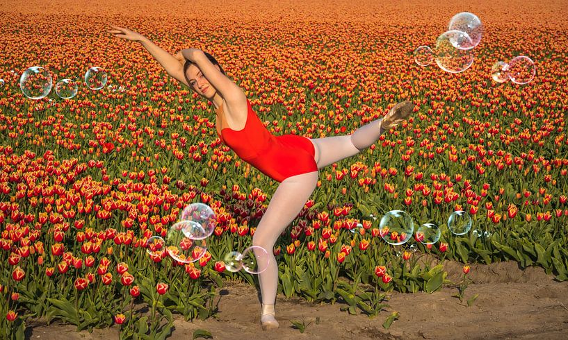 Ballerina Bubble van peterheinspictures