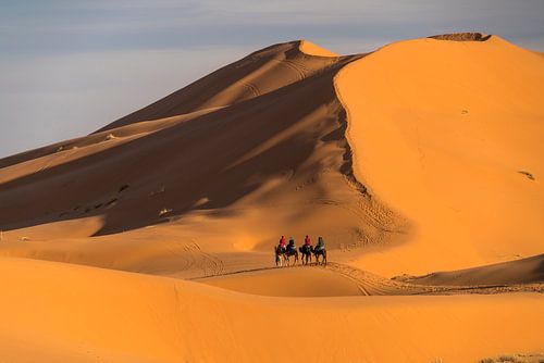 Kamelenkaravaan in de Sahara bij Merzouga, Marokko