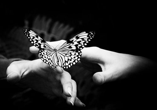 Kuss von einem Schmetterling von Anna Moon