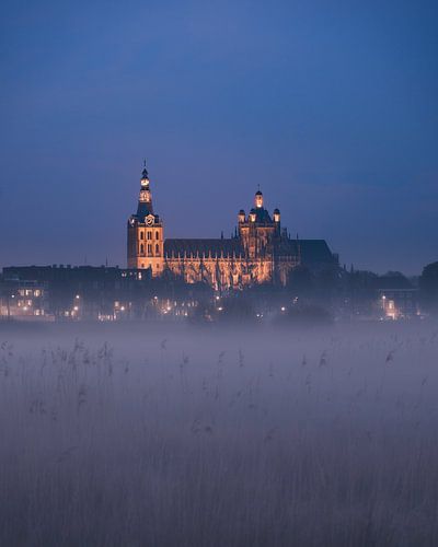 Brume du soir à Het Bossche Broek, vue sur St John's