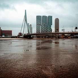 Erasmus-Brücke Rotterdam von Thijs van Beusekom