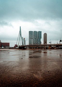 Pont Erasmus de Rotterdam sur Thijs van Beusekom
