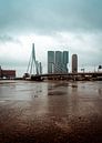 Erasmus-Brücke Rotterdam von Thijs van Beusekom Miniaturansicht