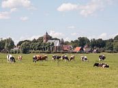 Polder avec des vaches et une église par Robin Jongerden Aperçu
