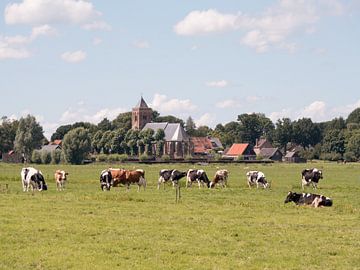 Polder avec des vaches et une église sur Robin Jongerden