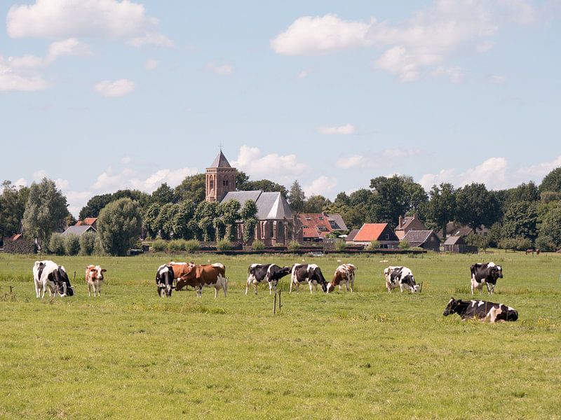 Polder avec des vaches et une église par Robin Jongerden