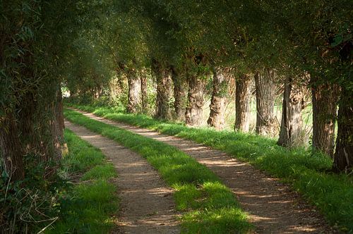 Louwerse Wegeling by Zeeland op Foto