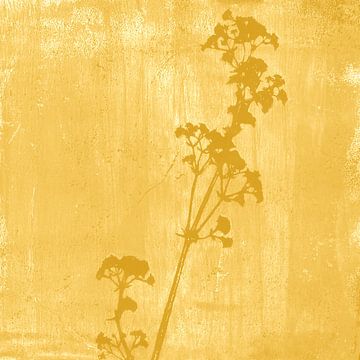 Botanische illustratie in retrostijl in geel van Dina Dankers